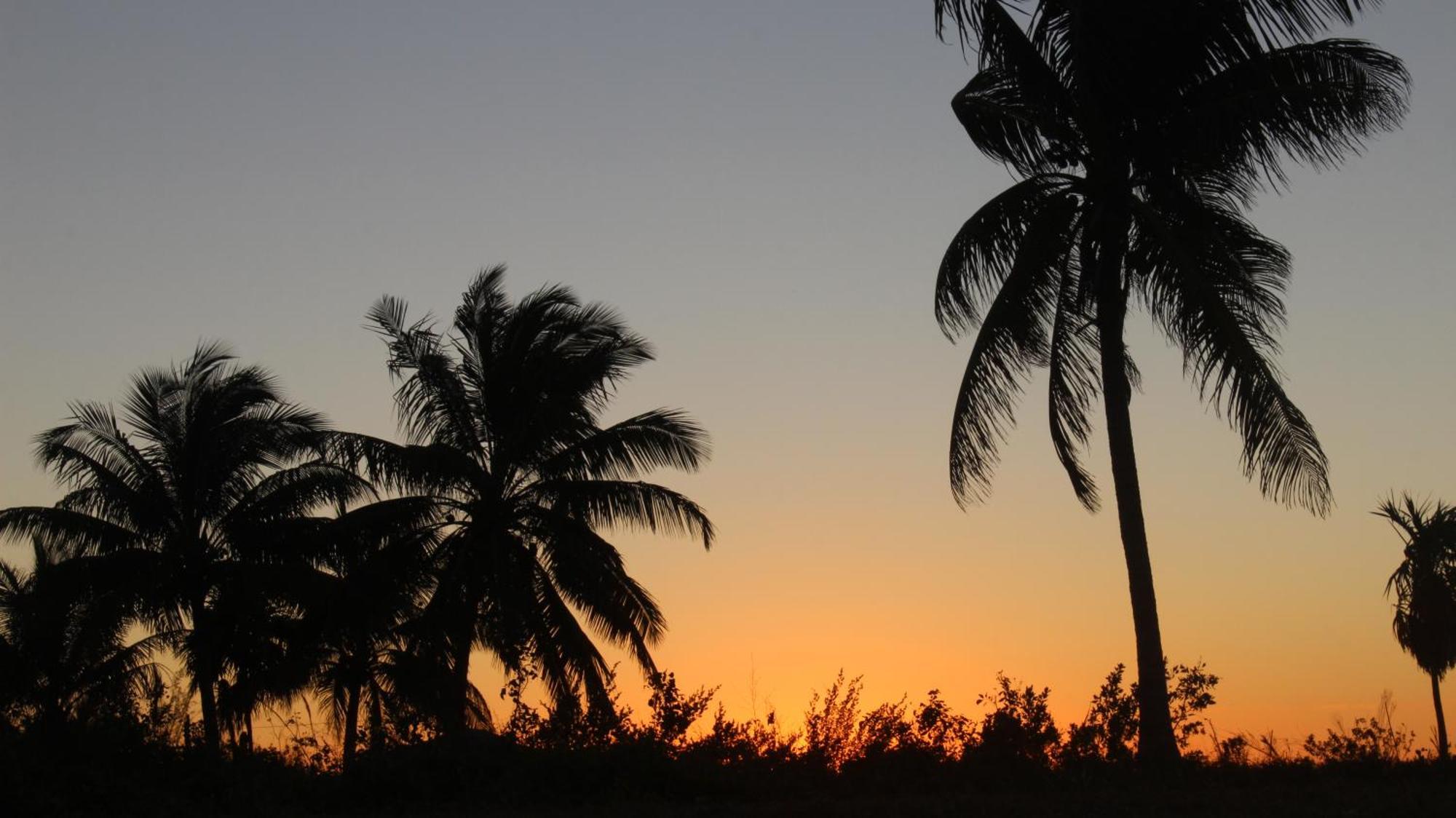 Ikarus Costa Mujeres Eco Lodge Sunset View Cancún Exteriér fotografie