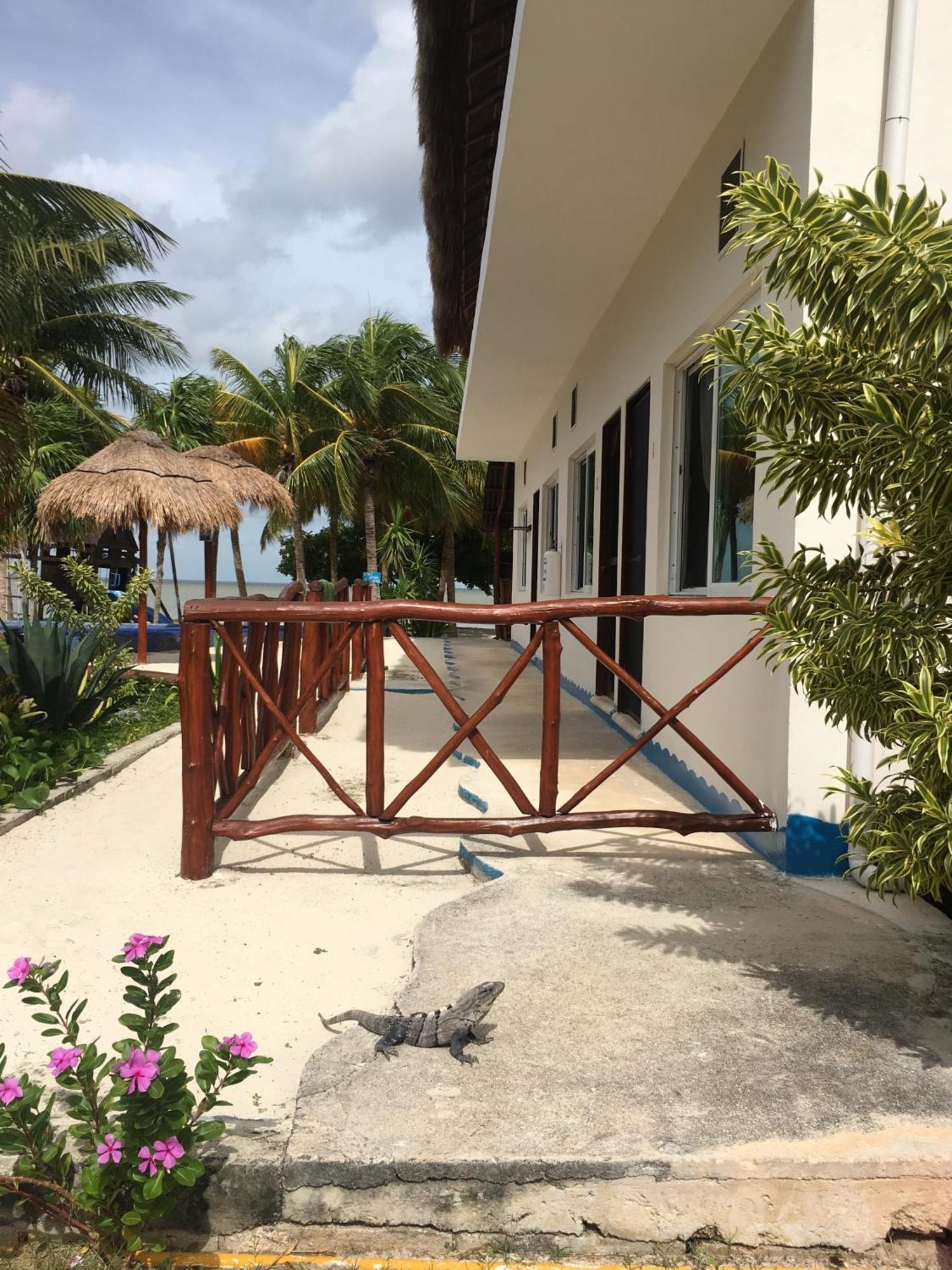 Ikarus Costa Mujeres Eco Lodge Sunset View Cancún Exteriér fotografie